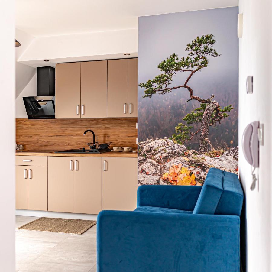 Velo Apartamenty Czorsztyn Buitenkant foto
