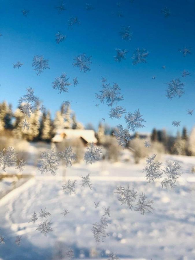 Velo Apartamenty Czorsztyn Buitenkant foto